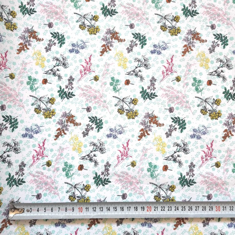 Coton BRINDILLES fond blanc et mènthe