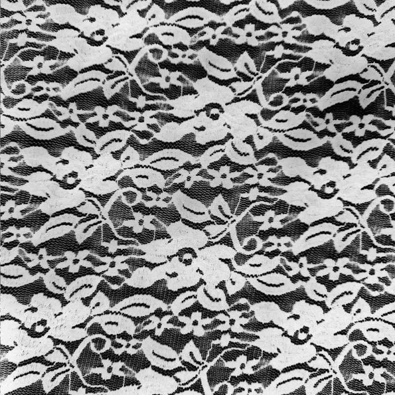 Dentelle élastique blanche