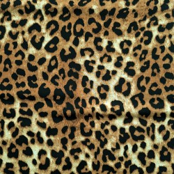 Leopardo