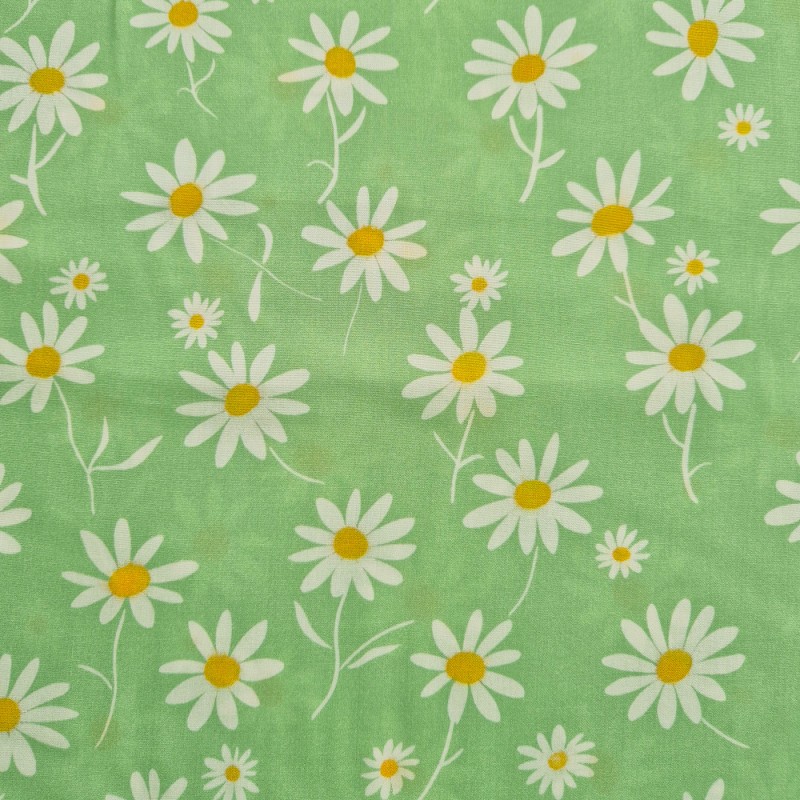 Margaritas fondo verde