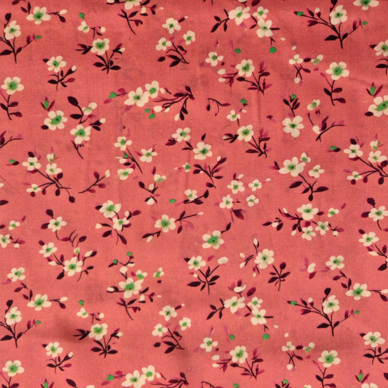 Primavera rosa