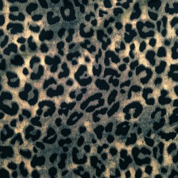 Leopardo oscuro