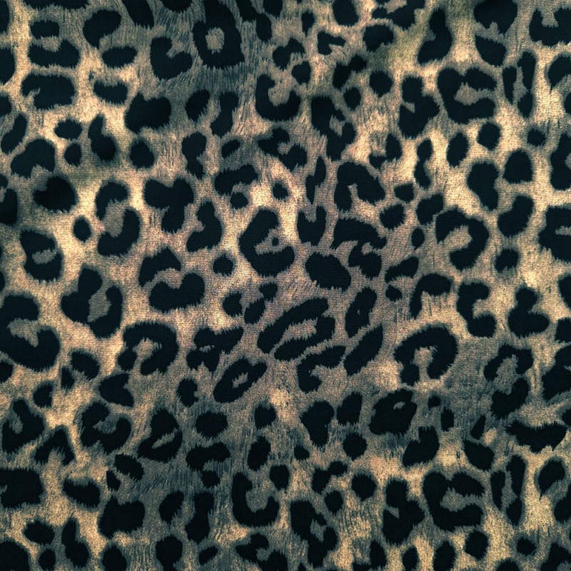 Leopardo oscuro