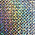 Lycra Monostretch Sirène Holo Argent