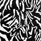 Zebra negra